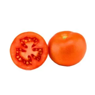 Compra TOMATE TOLENTINA F1 (1000 Semillas) en la tienda online Fito Agrícola