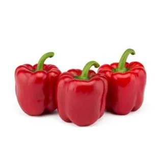 Compra ARDEI GOYA F1 (1.000 semințe) en la tienda online Fito Agrícola