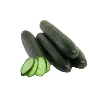 Compra PEPINO CHENCHO F1 (1000 Semillas). en la tienda online Fito Agrícola