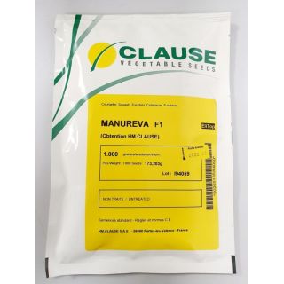 Compra CALABACÍN MANUREVA F1 (1.000 Semillas) en la tienda online Fito Agrícola