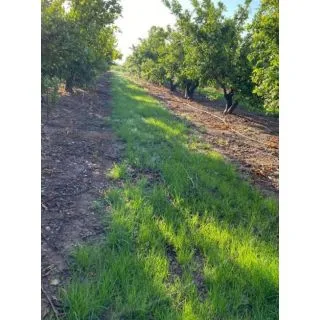 Compra CUBIERTA VEGETAL CÍTRICOS FLORA BIODIVERSIDAD PLUS (5 Kgr.) en la tienda online Fito Agrícola