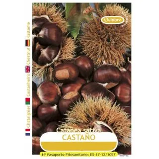 Compra CASTAN SV en la tienda online Fito Agrícola