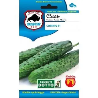 Compra PEPINO CORINTO F1 (0,28 gr.). en la tienda online Fito Agrícola
