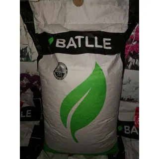 Compra RAY GRASS INGLÉS MATHILDE (25 Kgr.). en la tienda online Fito Agrícola