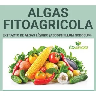 Compra ALGE FITOAGRICOLE (1 l.) en la tienda online Fito Agrícola