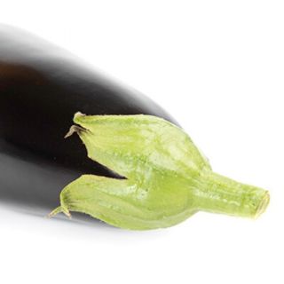 Compra BERENJENA KESIA RZ F1 (1000 Semillas) en la tienda online Fito Agrícola