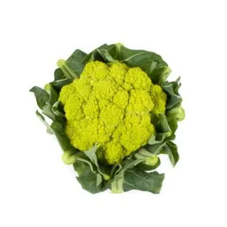 Compra COLIFLOR GILVERDE RZ F1 Precisión (2.500 Semillas). en la tienda online Fito Agrícola