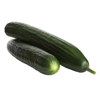 Compra PEPINO ABYSAL RZ Precisión F1 (1000 Semillas) en la tienda online Fito Agrícola