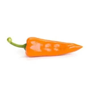 Compra ARDEI HOLLANDISA RZ F1 Precision (1000 seminte). en la tienda online Fito Agrícola