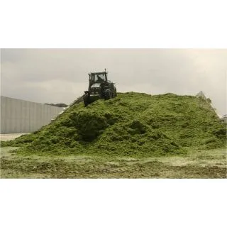 Compra RAY GRASS HÍBRIDO FIBRIDO (20 Kgr.) en la tienda online Fito Agrícola