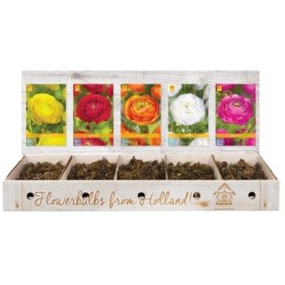 Compra RANÚNCULOS Cofre (750 Unidades) en la tienda online Fito Agrícola