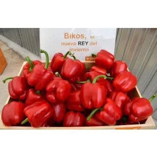 Compra ARDEI BIKOS F1 (1.000 semințe) en la tienda online Fito Agrícola