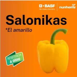 Compra PIMIENTO SALONIKAS F1 (1.000 Semillas) en la tienda online Fito Agrícola
