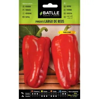 Compra ARDEI LUNG DE REUS (100 gr.). en la tienda online Fito Agrícola