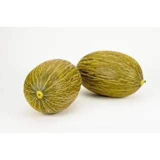 Compra MELÓN DON GREGORIO F1 (1000 Semillas) en la tienda online Fito Agrícola