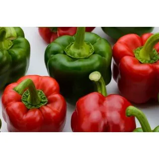 Compra ARDEI MOMA F1 (1.000 semințe). en la tienda online Fito Agrícola