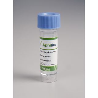 Compra APHILINE M (500 Ind.). en la tienda online Fito Agrícola