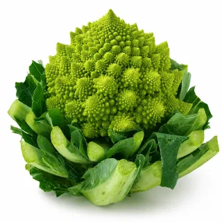 Compra ROMANESCO NAVONA F1 Peliculado (10.000 Semillas) en la tienda online Fito Agrícola
