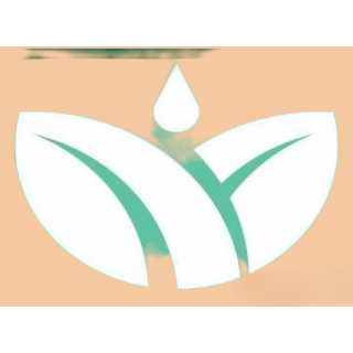 Compra DYNASTY (1 l.). en la tienda online Fito Agrícola