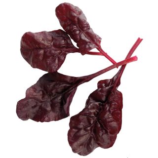 Compra ACELGA FIREBIRD BABY LEAF (250 gr.) en la tienda online Fito Agrícola