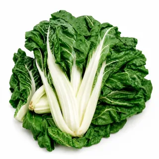Compra ACELGA D'AMPUIS (25 gr.). en la tienda online Fito Agrícola