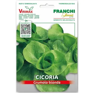 Compra ANDIVE GRUMOLO BIONDO (10 gr.). en la tienda online Fito Agrícola