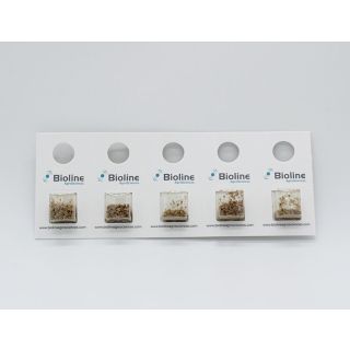 Compra APHILINE 1000 (Blister) en la tienda online Fito Agrícola