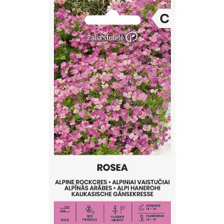 Compra ARABIS ALPINA ROSEA (0,2 gr. - Aproximativ 900 de semințe). en la tienda online Fito Agrícola