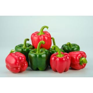 Compra PIMIENTO ASEM F1 (1.000 Semillas) en la tienda online Fito Agrícola