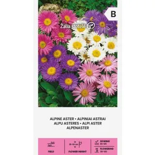 Compra ASTRU ALPIN MULTICOLOR (0,5 gr. - Aproximativ 375 de semințe). en la tienda online Fito Agrícola