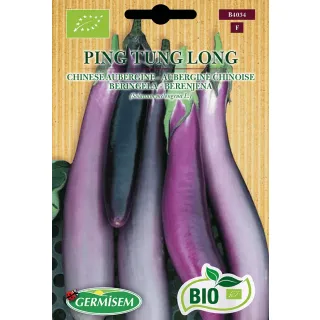 Compra BERENJENA PING TUNG LONG BIO (25 Semillas). en la tienda online Fito Agrícola