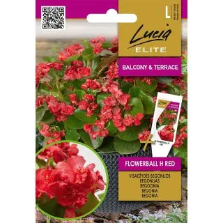 Compra BEGONIA FLOWERBALL RED F1 (30 semințe). en la tienda online Fito Agrícola