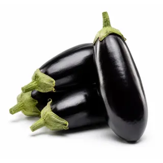 Compra BERENJENA ACELYA (1.000 Semillas). en la tienda online Fito Agrícola