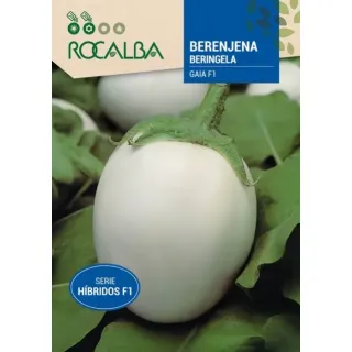 Compra BERENJENA GAIA F1 (Cerca de 25 semințe). en la tienda online Fito Agrícola