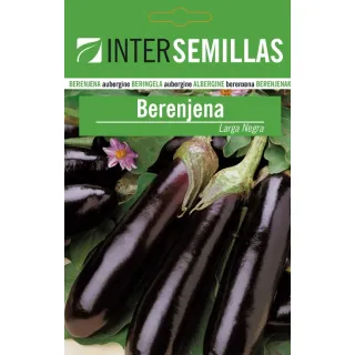 Compra BERENJENA LARGA NEGRA (100 gr.). en la tienda online Fito Agrícola