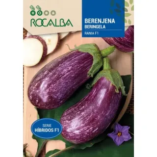 Compra BERENJENA RANIA F1 (Cerca de 25 Semillas). en la tienda online Fito Agrícola