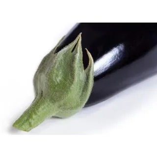 Compra BERENJENA THELMA RZ F-1 (1000 Semillas) en la tienda online Fito Agrícola