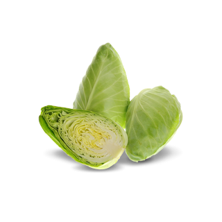 Compra COL BERLENGA F1 Calibrada (2.500 Semillas) en la tienda online Fito Agrícola