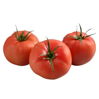Compra TOMATE BONBOLYA F1 (1.000 Semillas). en la tienda online Fito Agrícola