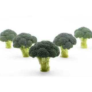 Compra BRÓCOLI BOREAS F1 (2.500 Semillas) en la tienda online Fito Agrícola