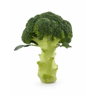 Compra BROCOLI GLADIATOR F1 PELICULAT (10.000 semințe). en la tienda online Fito Agrícola