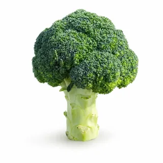 Compra BROCOLI LEGATUS F1 PELICULAT (10.000 semințe). en la tienda online Fito Agrícola