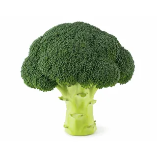 Compra BROCOLI TRAJANO F1 PELICULAT (10.000 semințe). en la tienda online Fito Agrícola