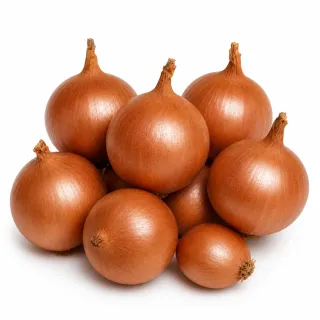 Compra CEAPĂ BRONZE D'AMPOSTA (100 gr.). en la tienda online Fito Agrícola