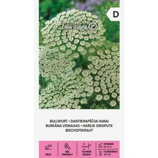 Compra BULLWORT (0,5 gr. - Cerca de 650 semințe). en la tienda online Fito Agrícola