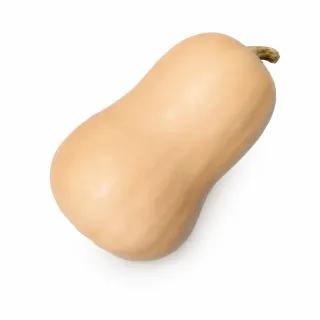 Compra CALABAZA BUTTERNUT SIBELLE F1 (1000 Semillas). en la tienda online Fito Agrícola