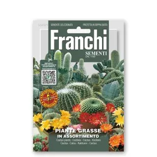 Compra CACTUS PLANTE SUCCULENTE VARIATE (10 gr.). en la tienda online Fito Agrícola