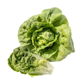 Compra LECHUGA CADABRA BIO Pildorada (5.000 Semillas). en la tienda online Fito Agrícola