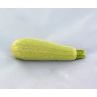 Compra CALABACÍN ANGELINA F1 (1.000 Semillas) en la tienda online Fito Agrícola