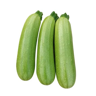Compra CALABACIN CALISTEE F1 (1.000 Semillas). en la tienda online Fito Agrícola